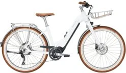 Bulls Sturmvogel-Evo 10 2020/2021 -Angebote E-Bike Store Bulls Sturmvogel Evo 10 Kettenschaltung i white silver weiss Damen 727 728 729 42741 42744 42748
