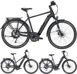 Pegasus Lavida-Evo-Plus 30-Gang 2020/2021