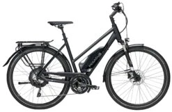 Pegasus Lavida-Plus 30-Gang 2019 -Angebote E-Bike Store Pegasus Lavida Plus 2019 Alber Damen Trapez schwarz matt chrom 792 10245 10250 10253