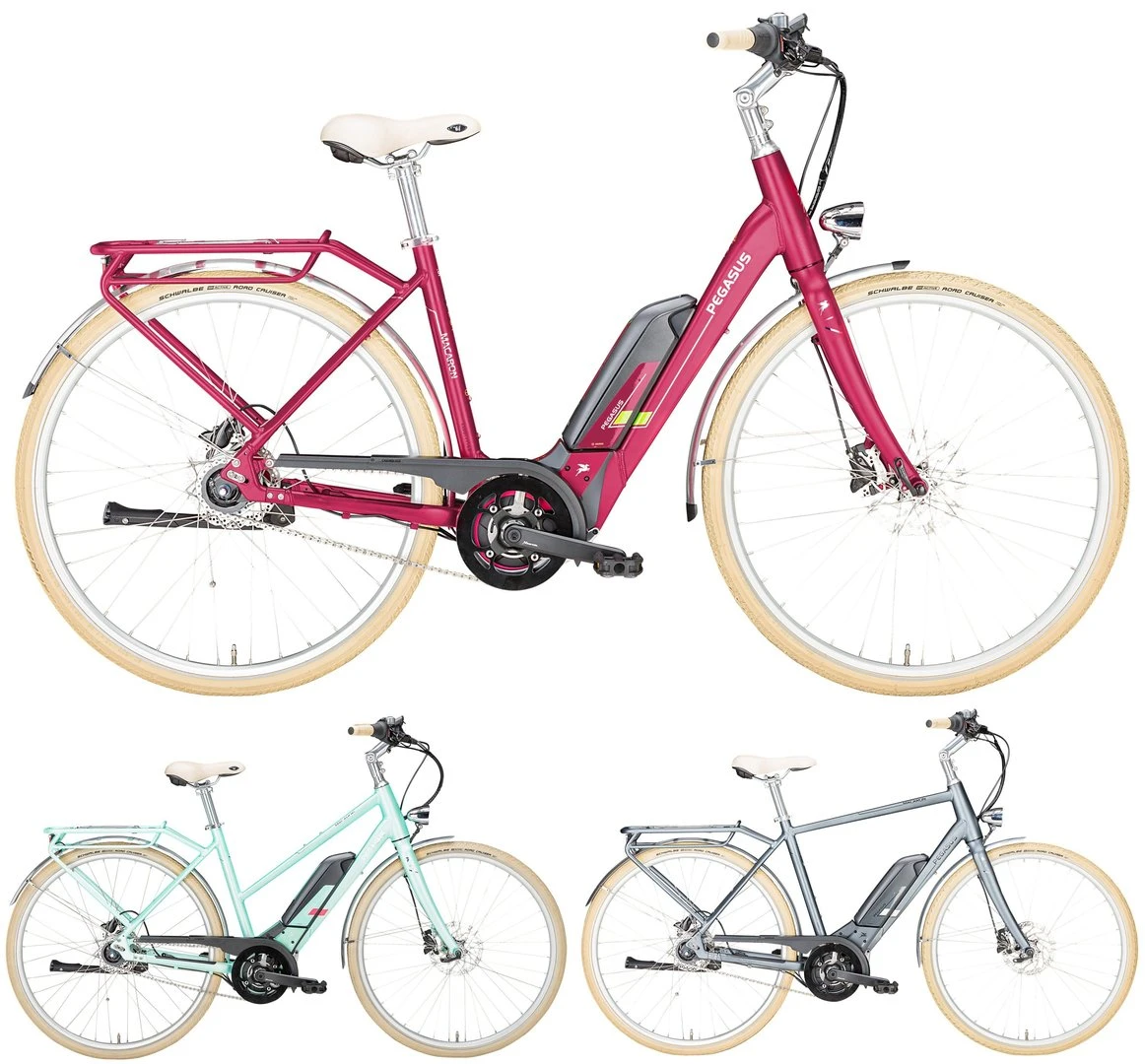 Pegasus Macaron-E 2018 1 Pegasus Macaron-E 2018