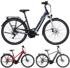 Pegasus Premio-Evo-10 Lite 2022