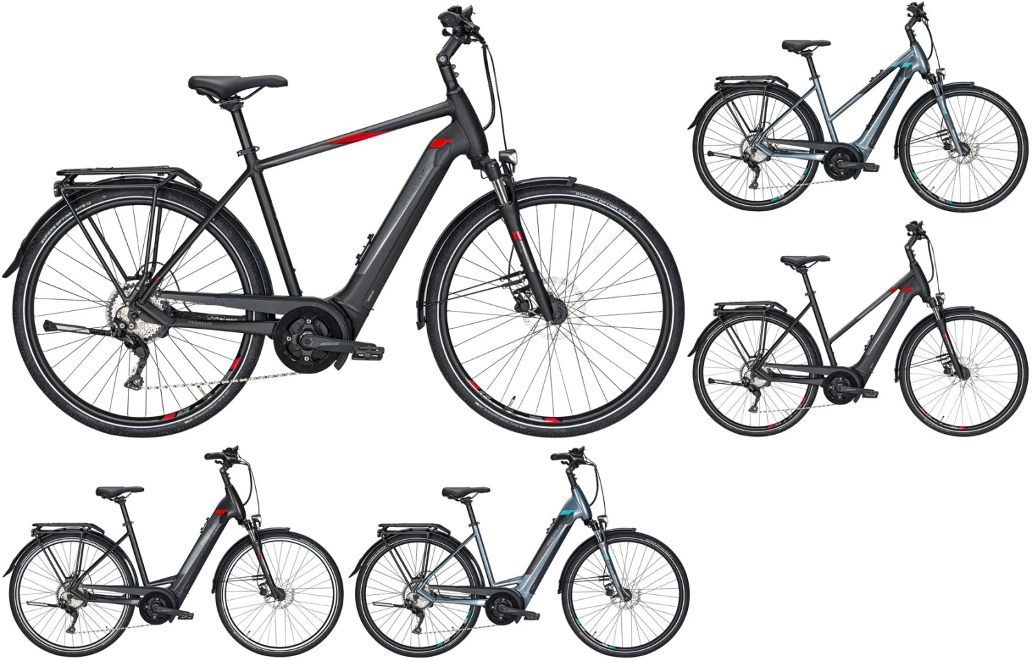 Pegasus Premio-Evo-10 2020 1 Pegasus Premio-Evo-10 2020