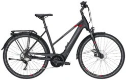 Pegasus Premio-Evo-10 2021 -Angebote E-Bike Store Pegasus Premio Evo 10 2021 Damen Trapez black matt schwarz red rot 734 735 736 35745 35750 35755