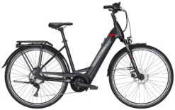 Pegasus Premio-Evo-10 2021 -Angebote E-Bike Store Pegasus Premio Evo 10 2021 Tiefeinstieg Unisex Damen Wave black matt schwarz red rot 734 735 736 36145 36150 36155