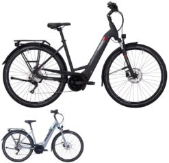 Pegasus Premio-Evo-10 2022