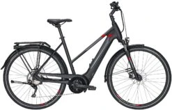 Pegasus Premio-Evo-10 2020 8 Pegasus Premio-Evo-10 2020 -Angebote E-Bike Store Pegasus Premio Evo 10 Damen Trapez black matt grey red 714 715 716 49745 49750 49755