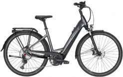 Pegasus Premio-Evo-12 Lite 2020 -Angebote E-Bike Store Pegasus Premio Evo 12 Lite Damen Wave black chrome black matt 714 715 716 59245 59250 59255