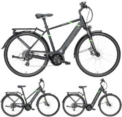 Pegasus Solero-Evo 8 2018