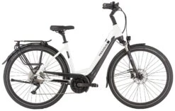 Pegasus Strong-Evo-10 2022 -Angebote E-Bike Store Pegasus Strong Evo 10 2022 Tiefeinstieg Unisex Damen Wave metallic off white black matt weiss schwarz 644 645 646 55845 55850 55855 55860