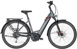 Pegasus Strong Evo-9 2020 -Angebote E-Bike Store Pegasus Strong Evo 9 2020 Damen Wave grau matt schwarz rot 714 715 716 68445 68450 68455 68460